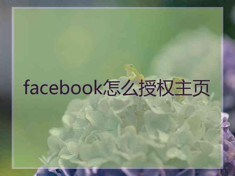 facebook怎么授权主页 facebook怎么授权主页