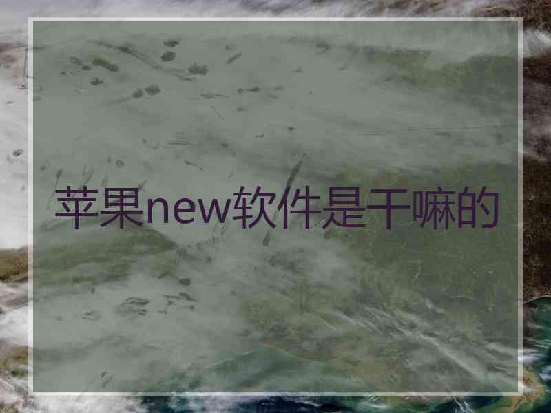 苹果new软件是干嘛的 苹果new软件是干嘛的