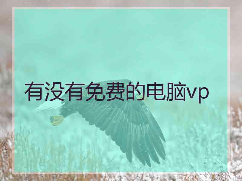 有没有免费的电脑vp